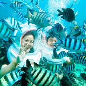 tour lặn biển ngắm san hô Vĩnh Hy