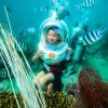 tour lặn biển ngắm san hô Vĩnh Hy