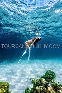 Tour lặn biển Vĩnh Hy