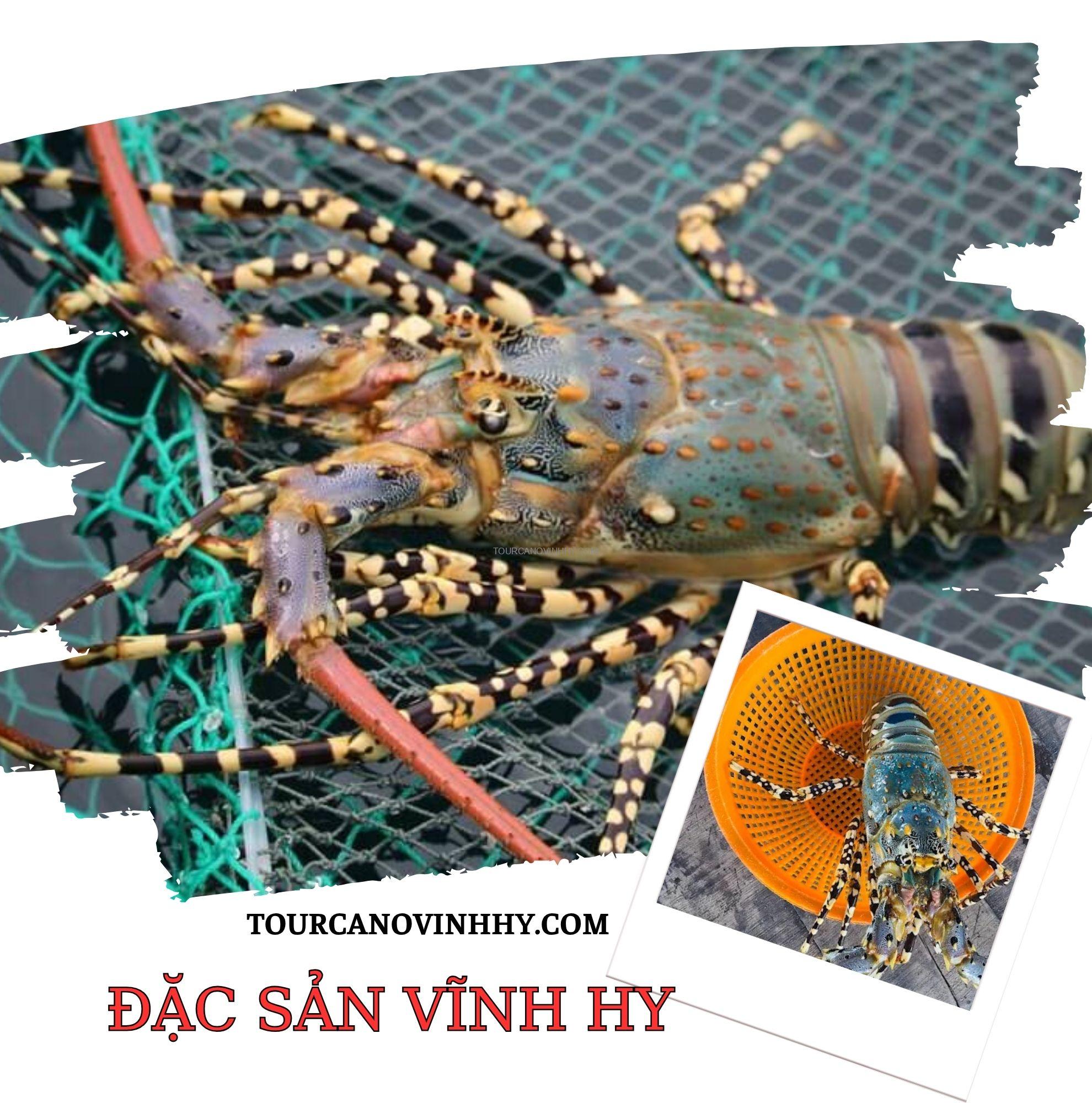 hải sản tươi sống tại Vĩnh Hy